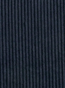 Wales Navy 412023 PK Lifestyles Fabric